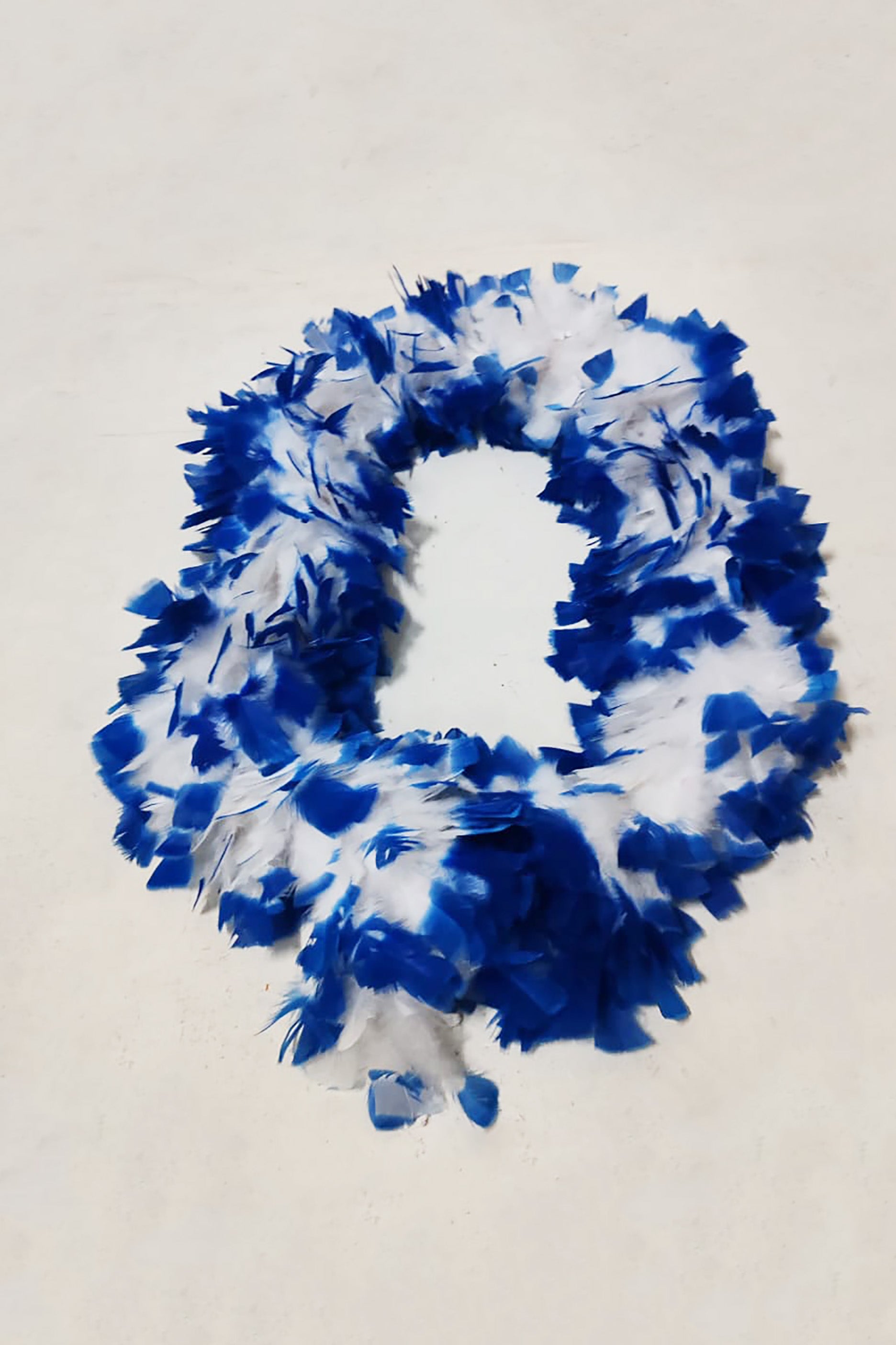 Blue and White Long Feather Scarf