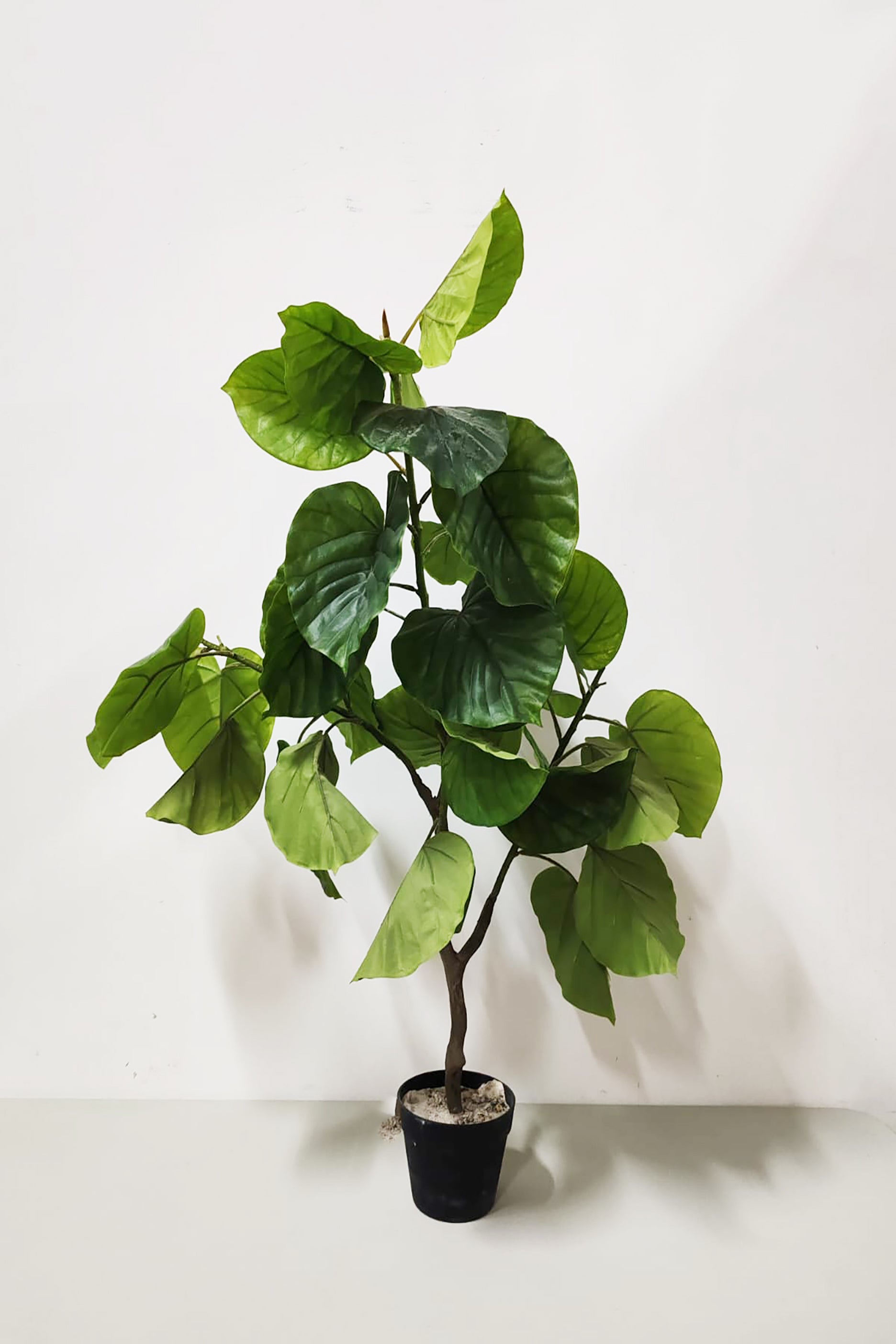 Artificial Ficus Tree