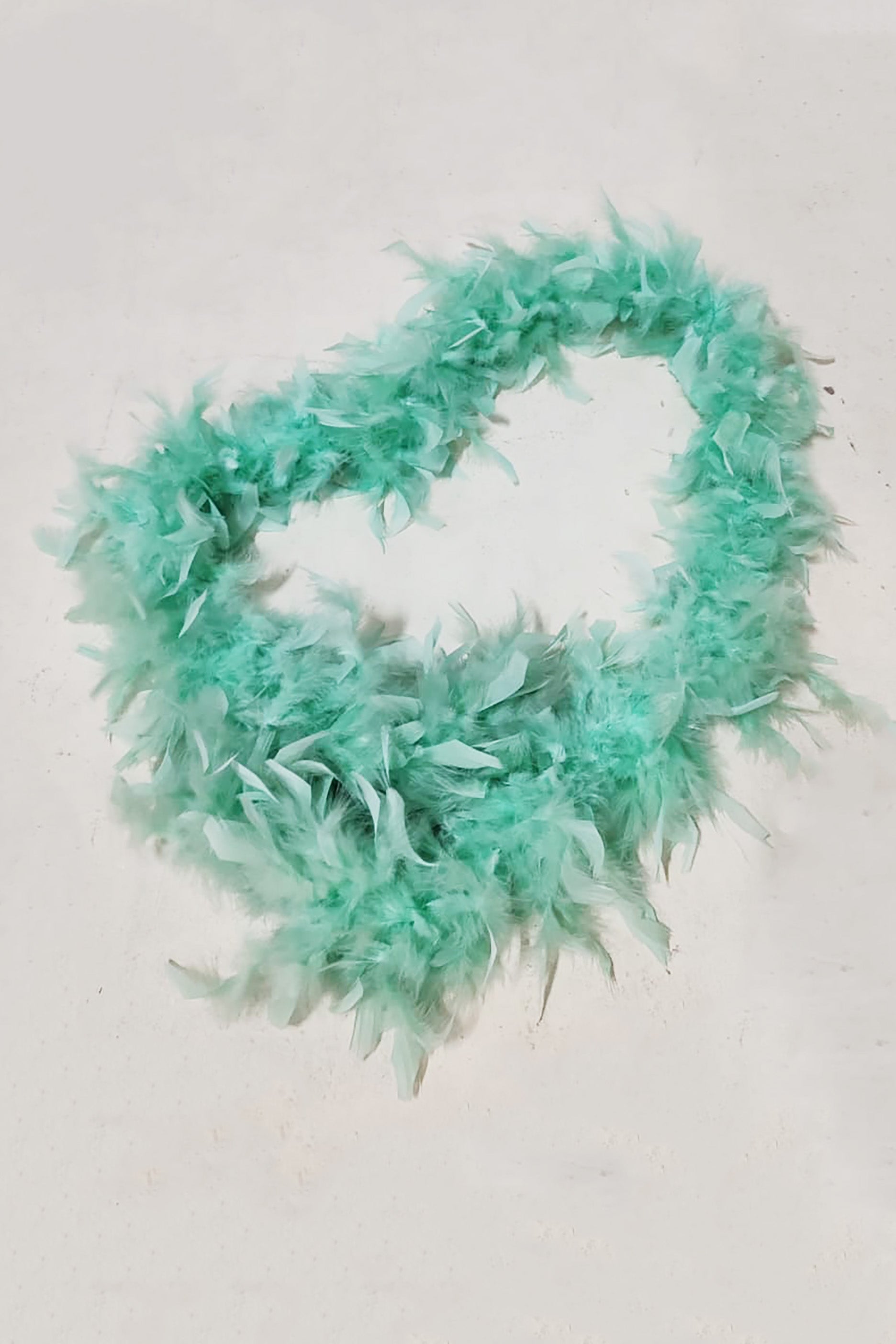 Mint Green Long Feather Scarf