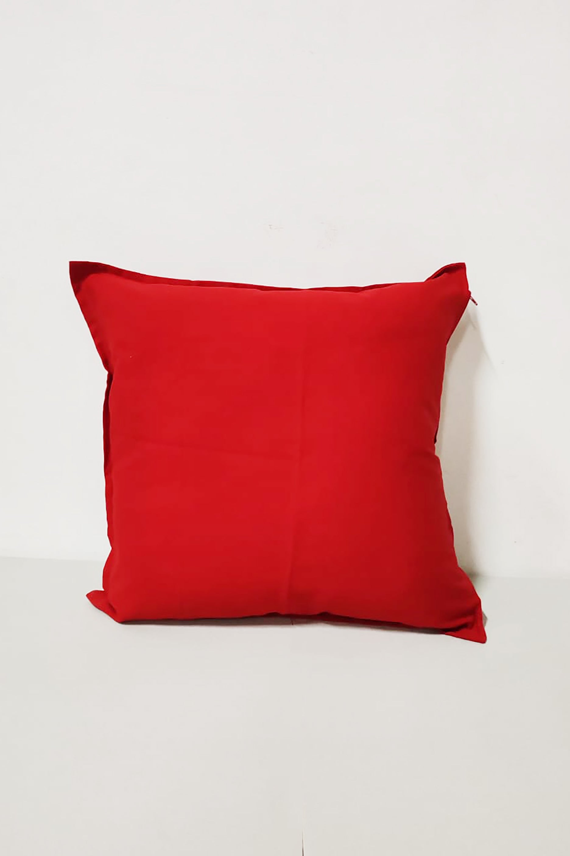 Classic Red Canvas Cushions (2 pieces)