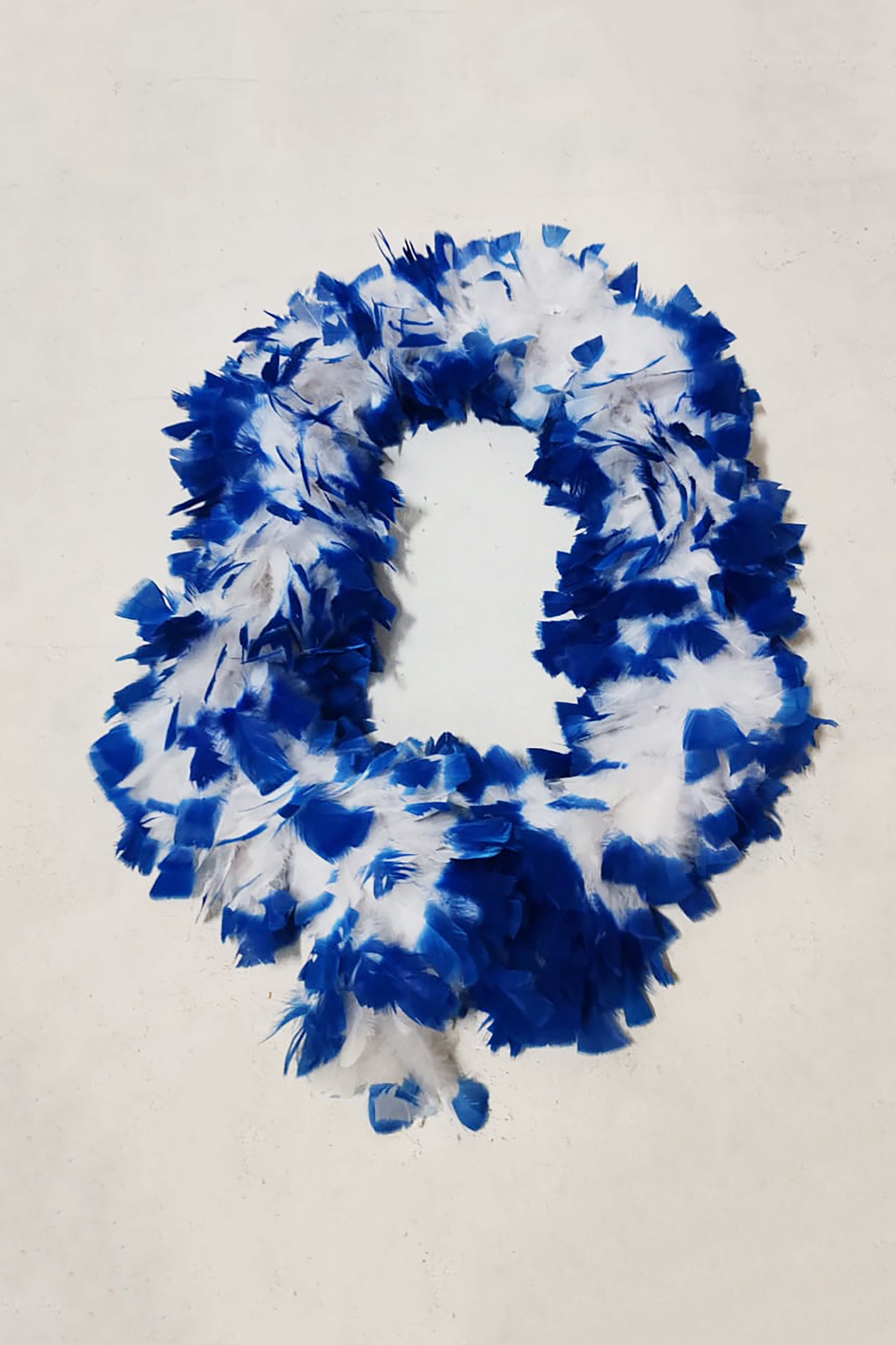 Blue and White Long Feather Scarf