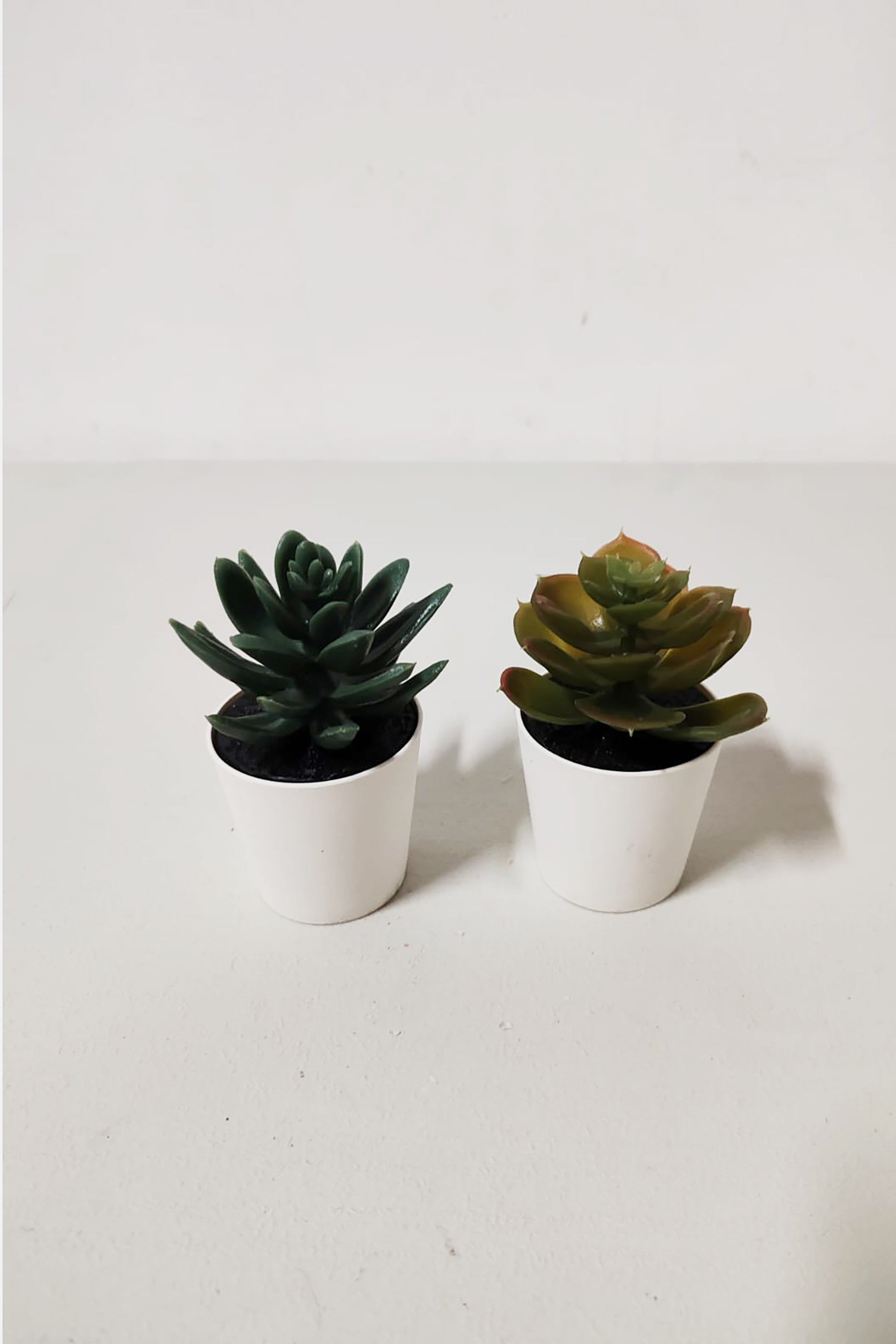 2-Piece Artificial Mini Plant