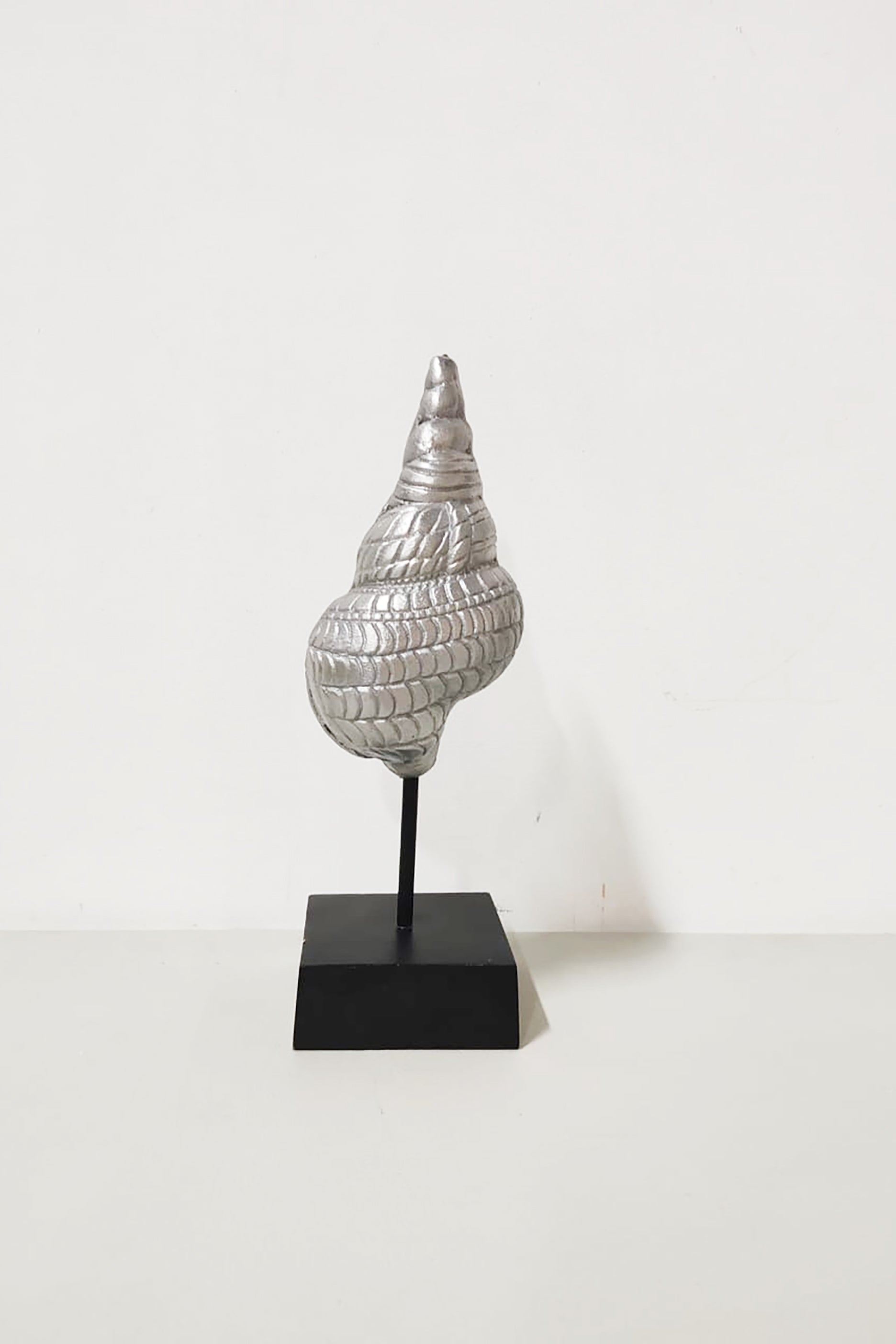 Decorative Sea Snail Display in Aluminum Stand – ProppedUpRentals