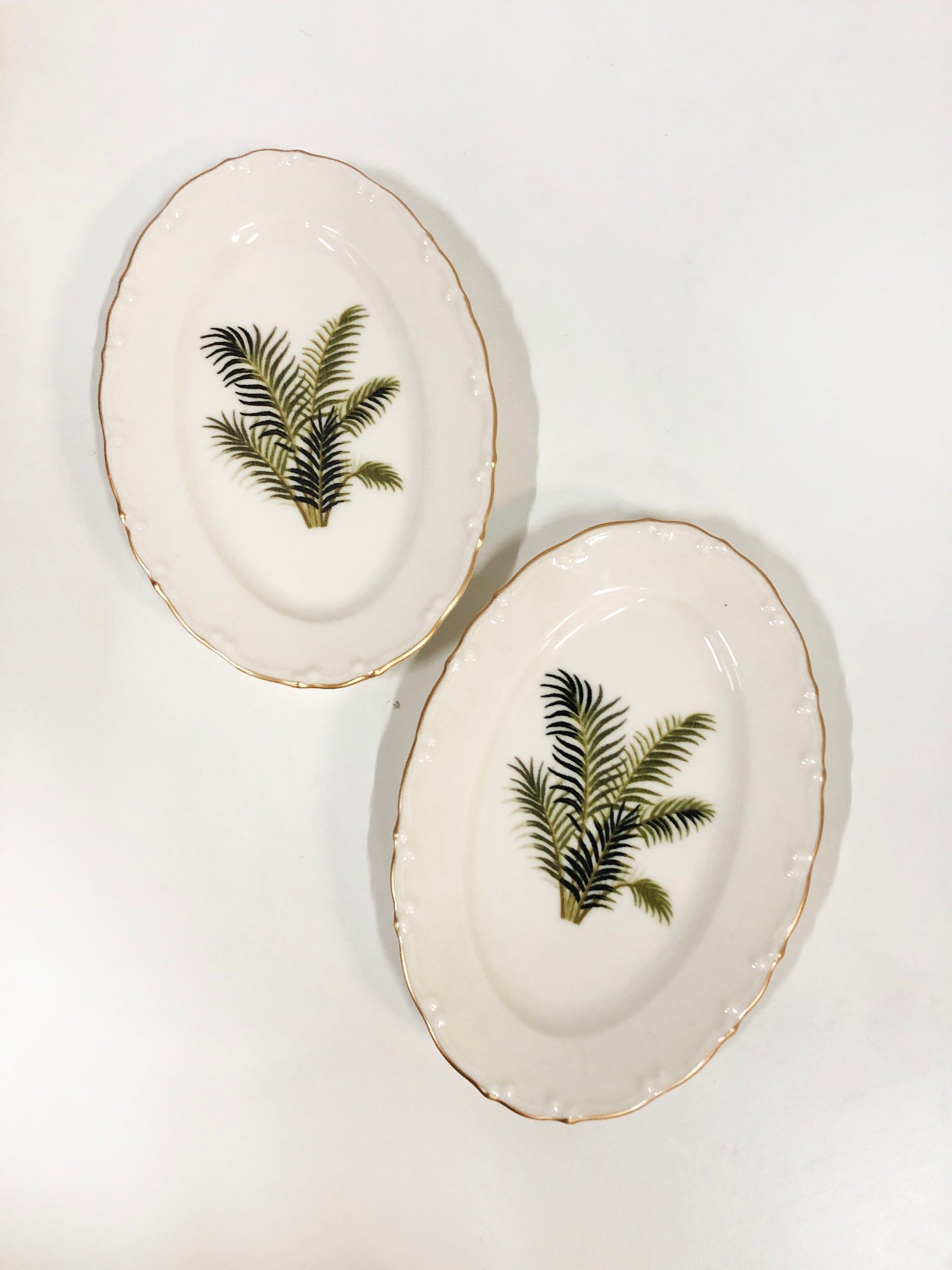 White China and Palm Leaf Dinner Set