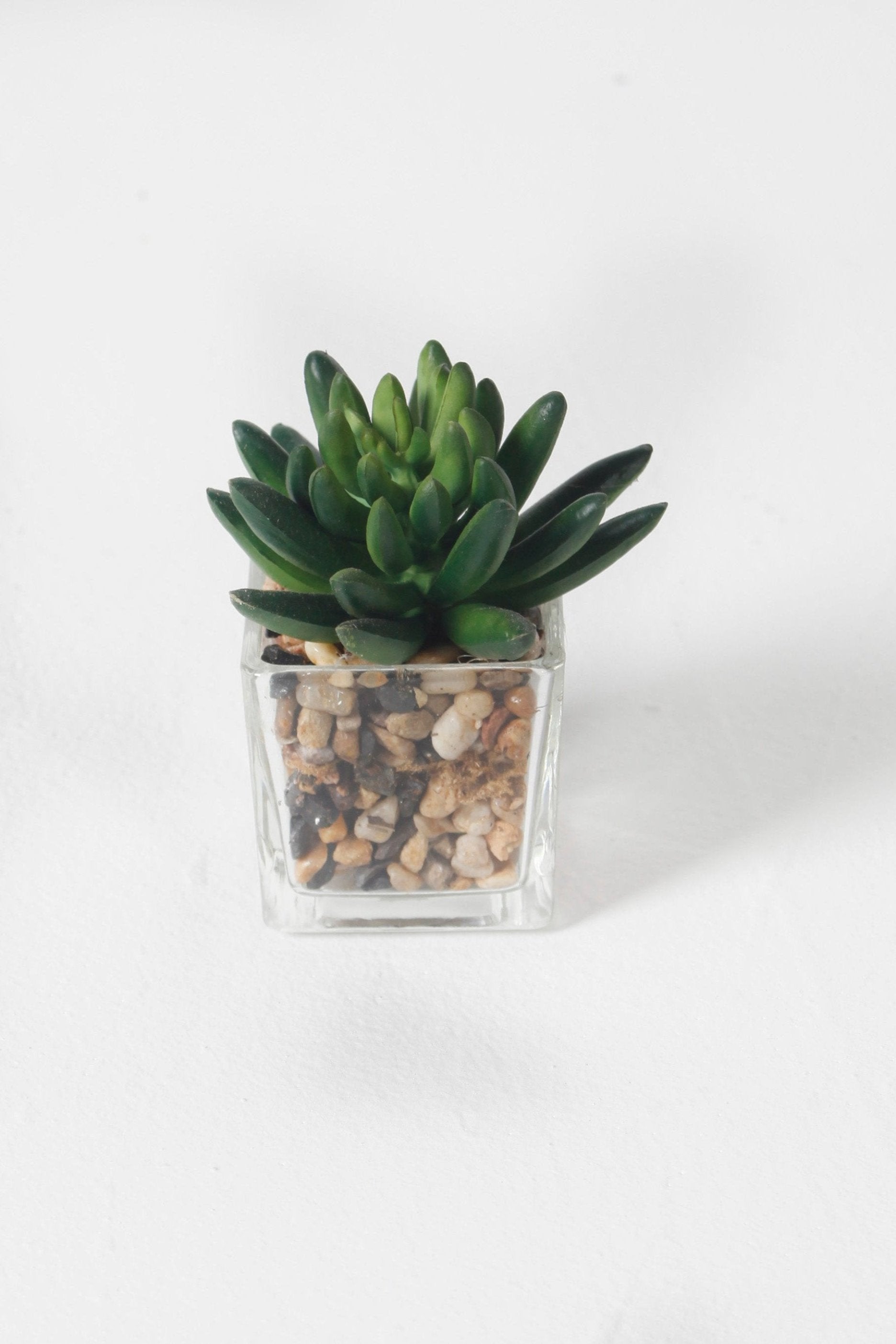 Small Fake Potted plant