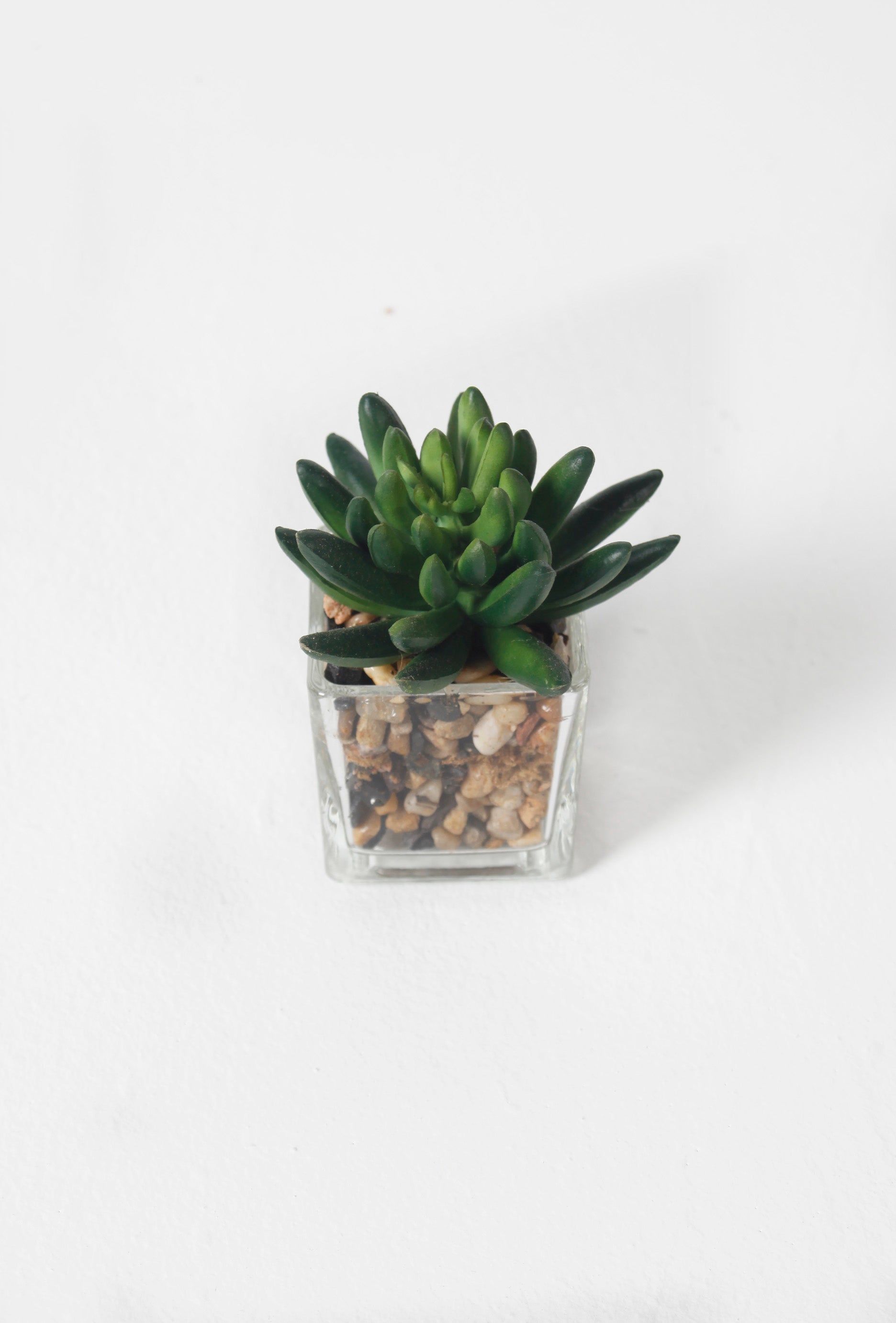 Small Fake Potted plant