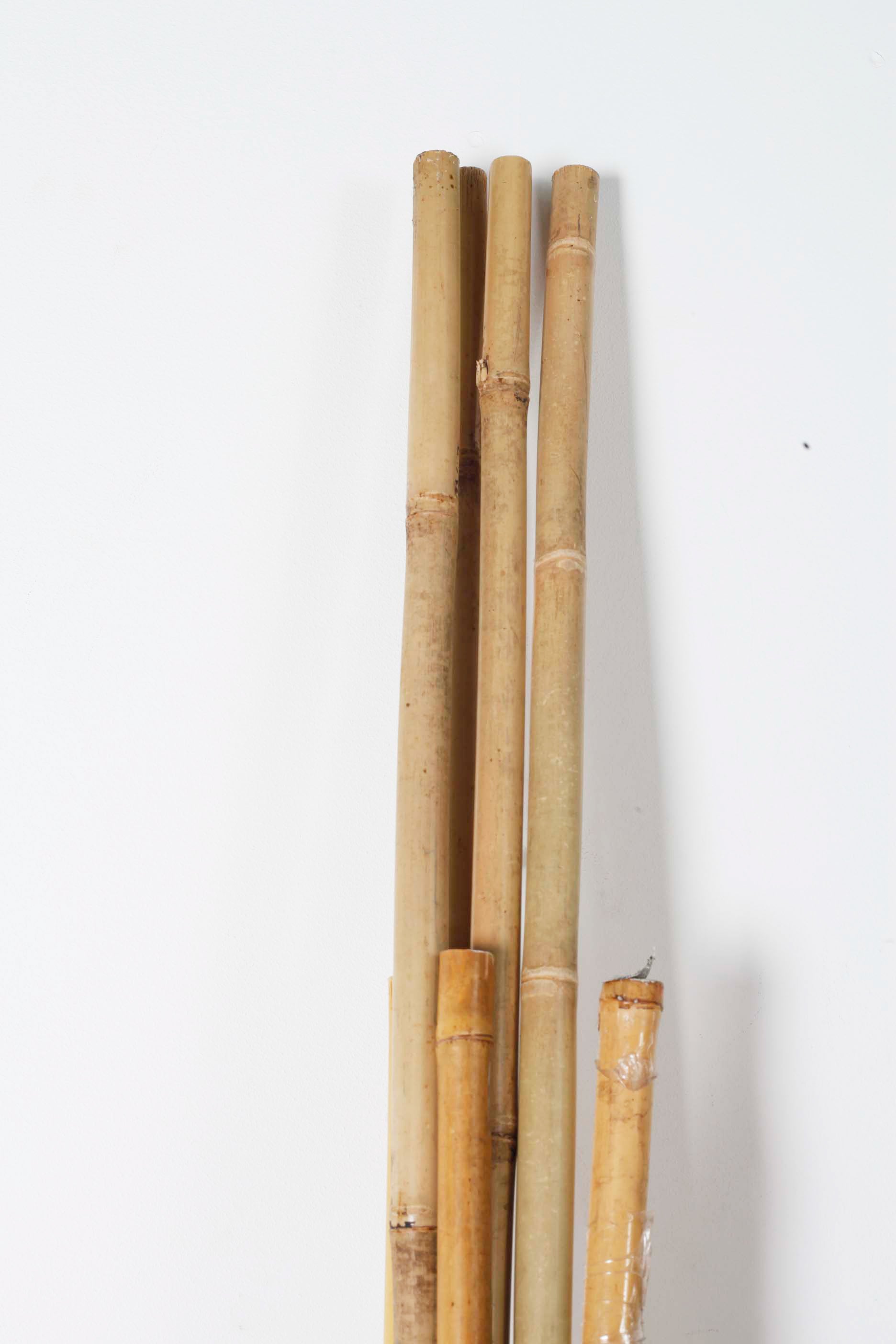 Bamboo Bundle 5 Pieces