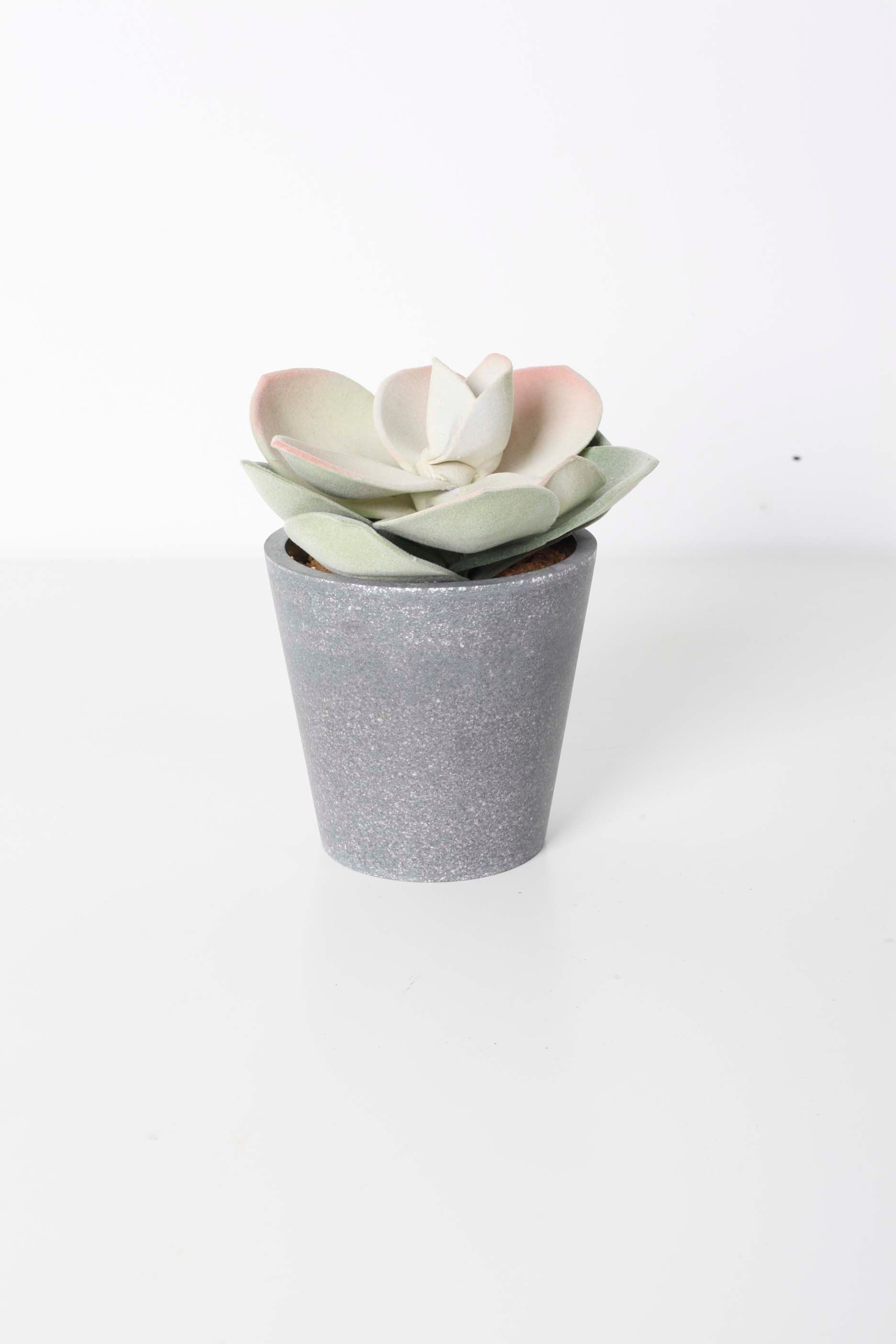 Small Faux Potted Succulent