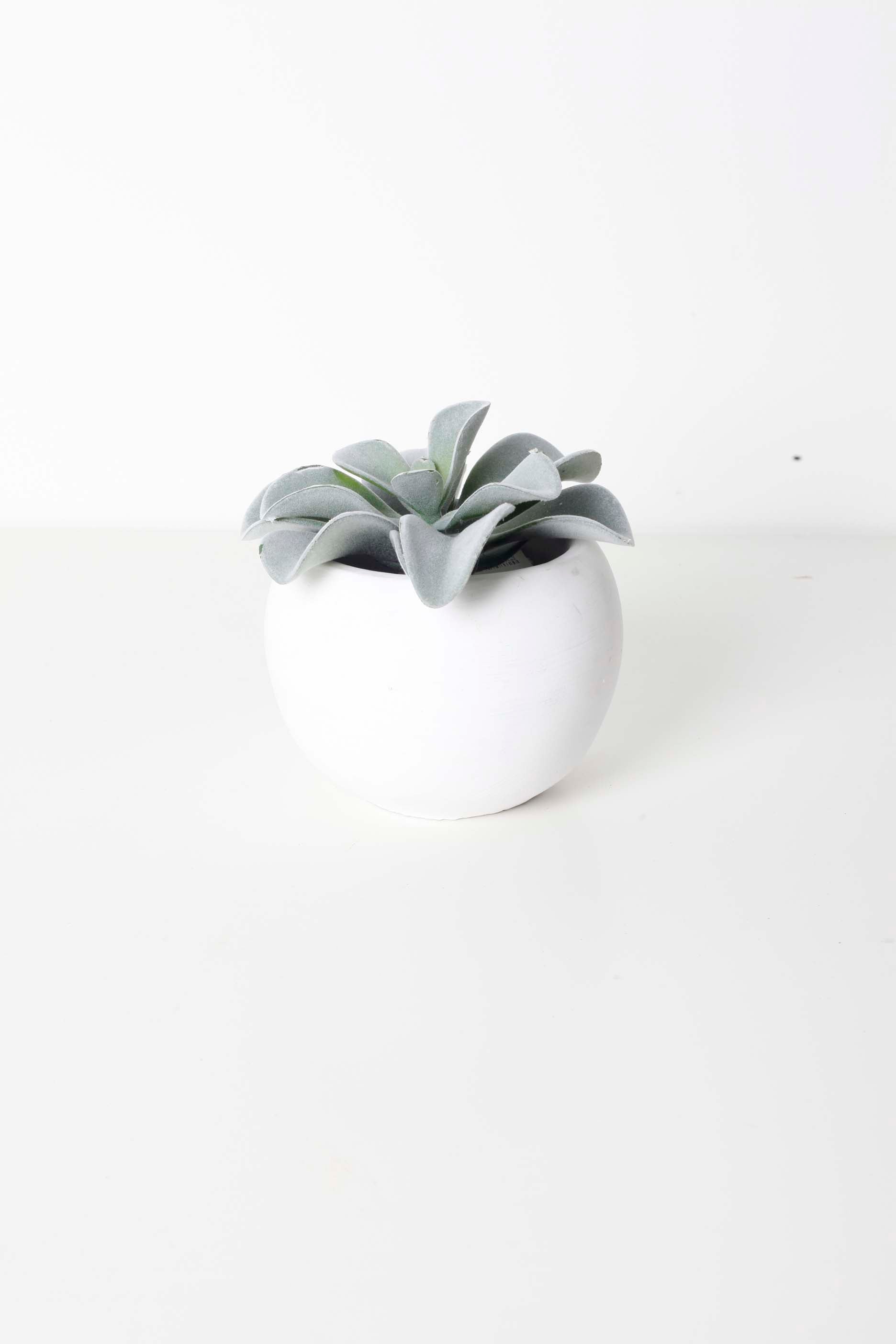 Small Faux Potted Succulent