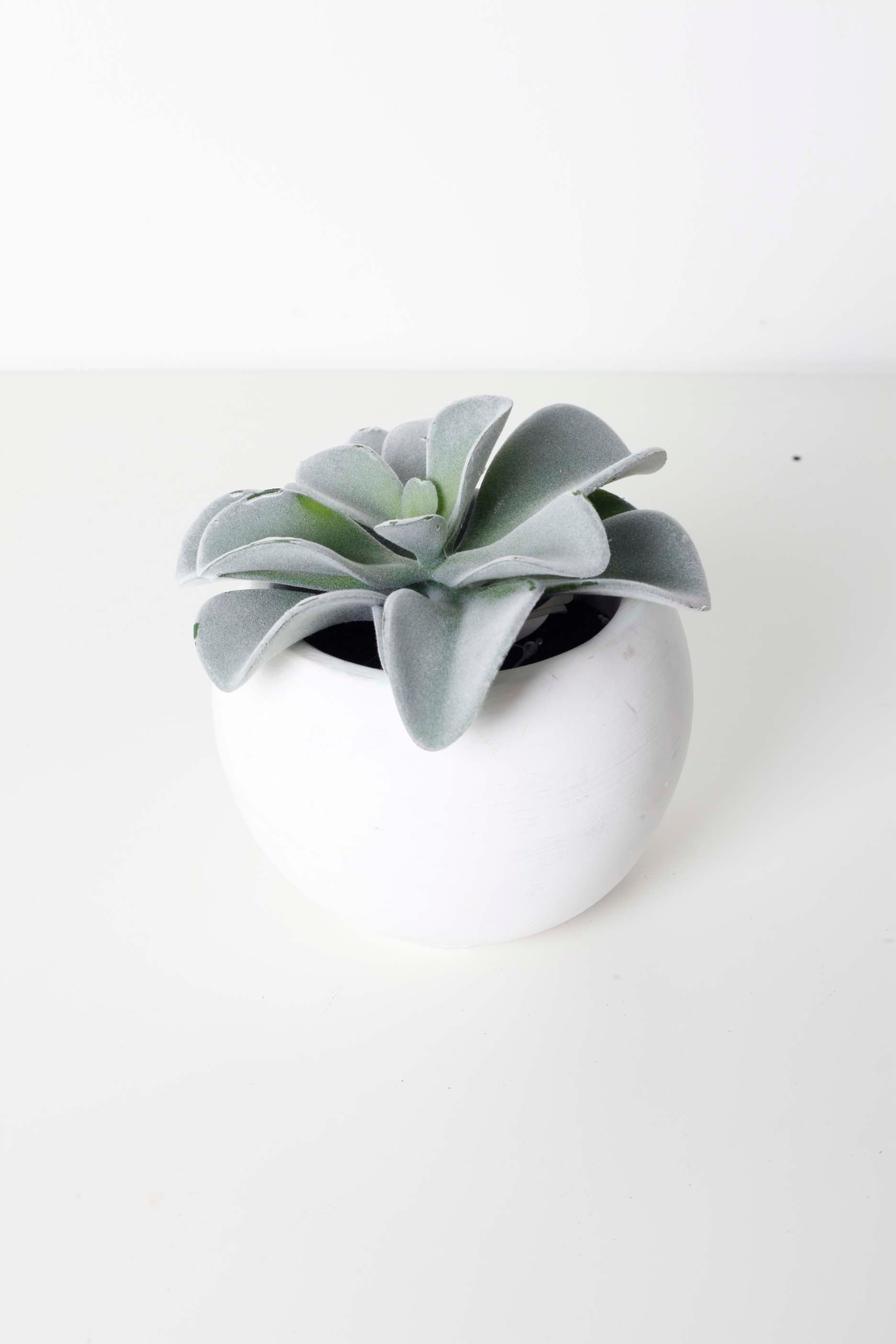 Small Faux Potted Succulent