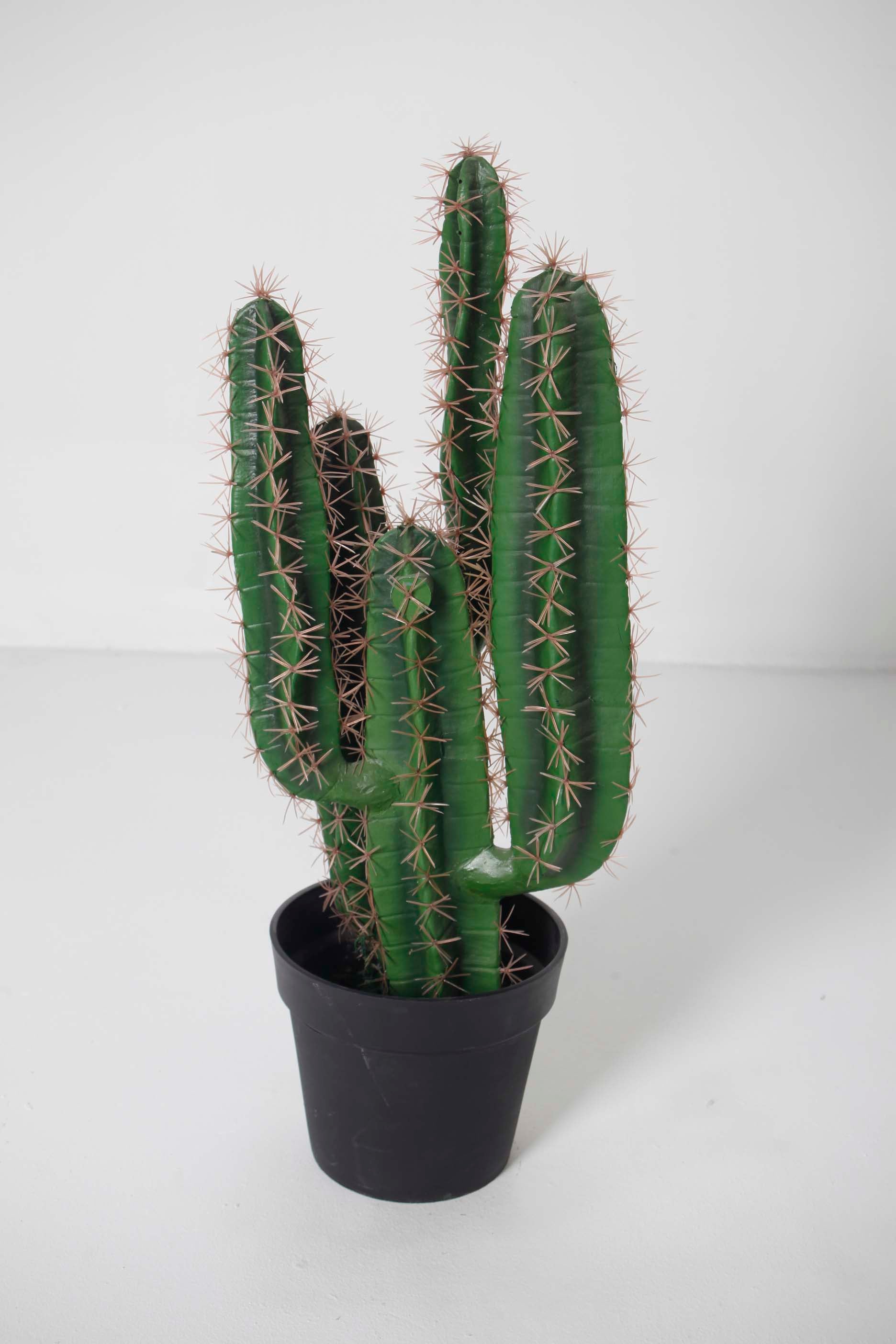 Fake Potted Cactus Plant