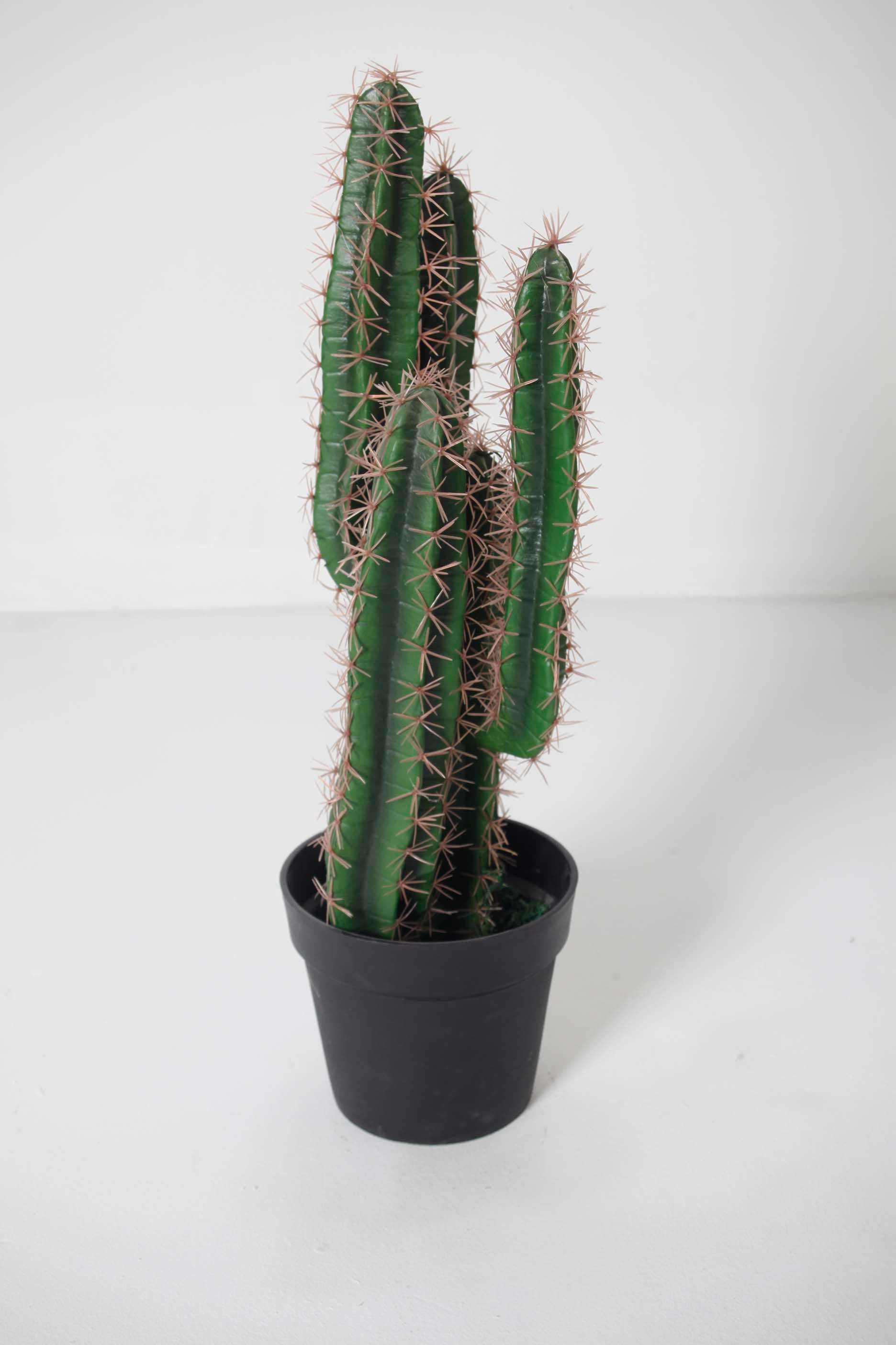 Fake Potted Cactus Plant