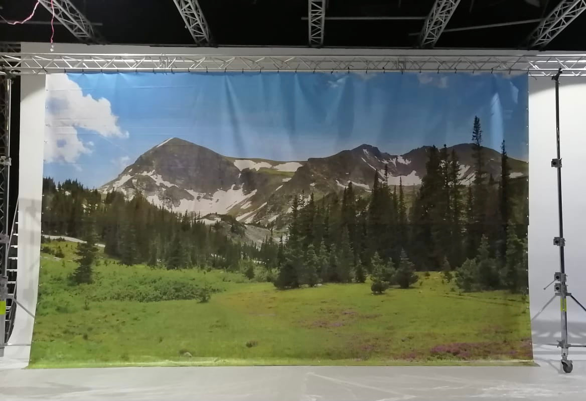 Nordic Forest Backdrop