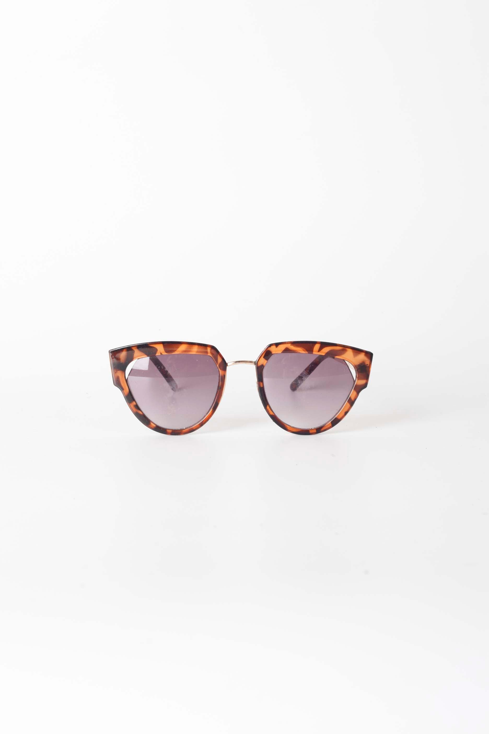 Oversized Tortoise Shell Sunglasses