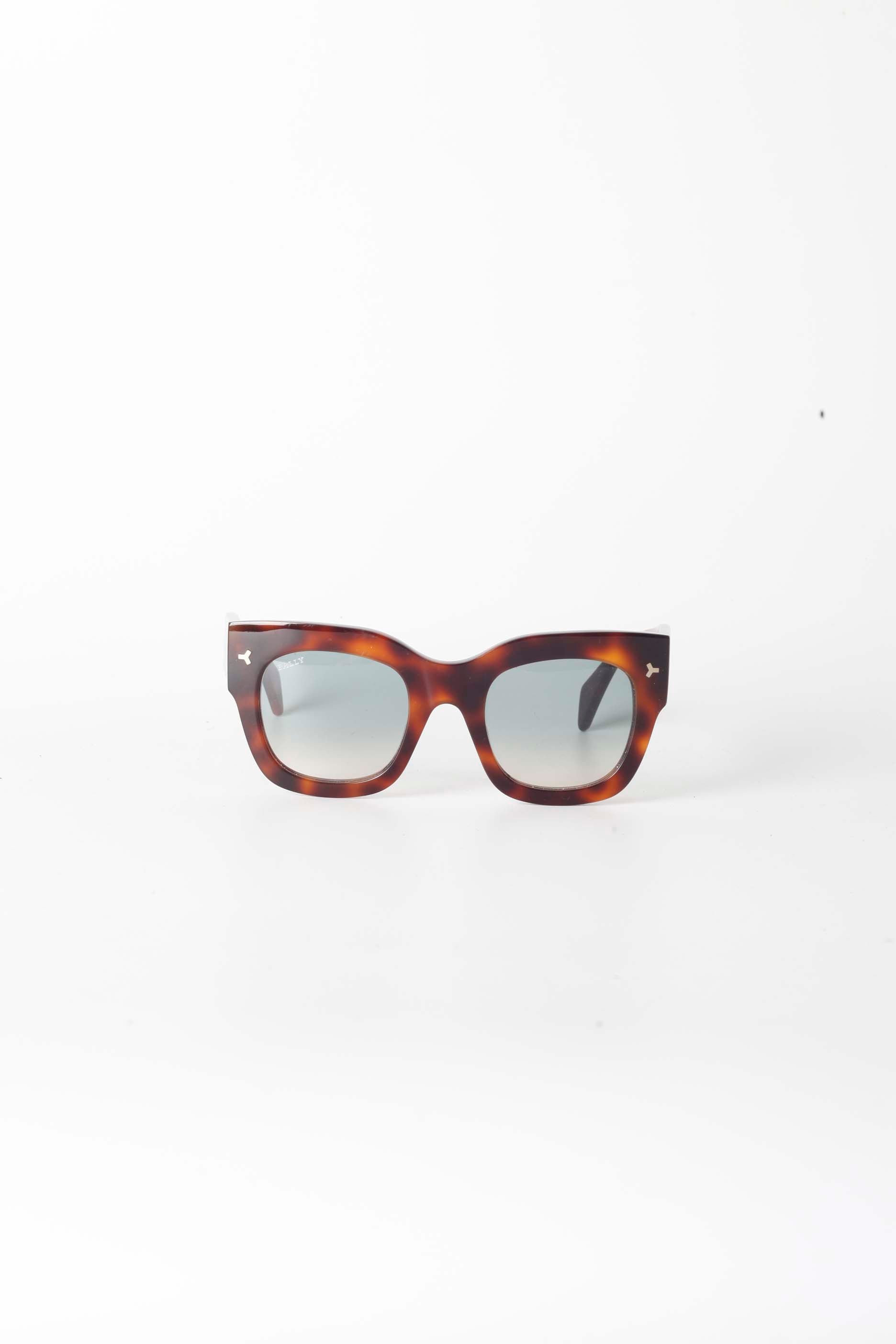 Oversized Tortoise Shell Sunglasses