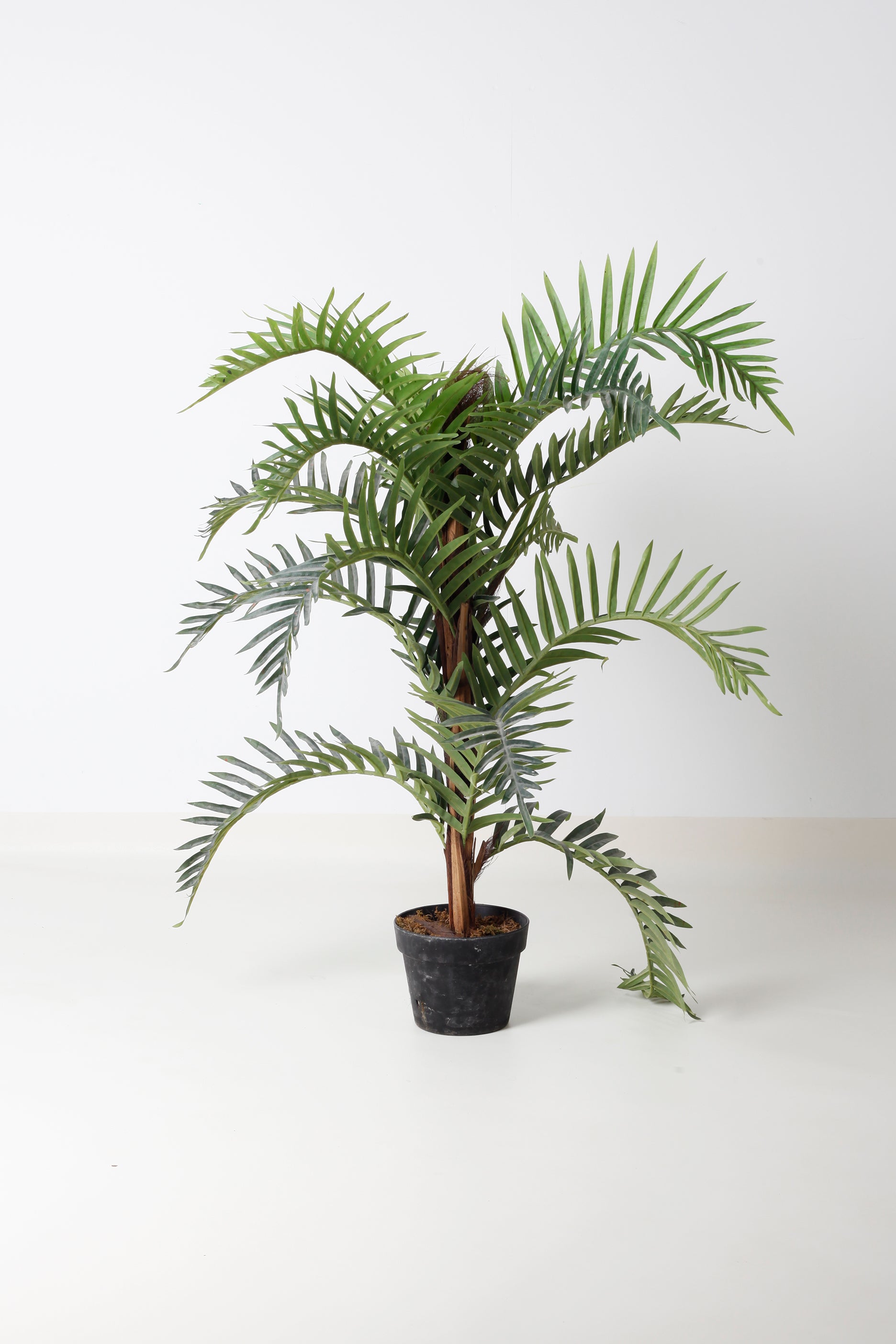 Medium Faux Palm Plant