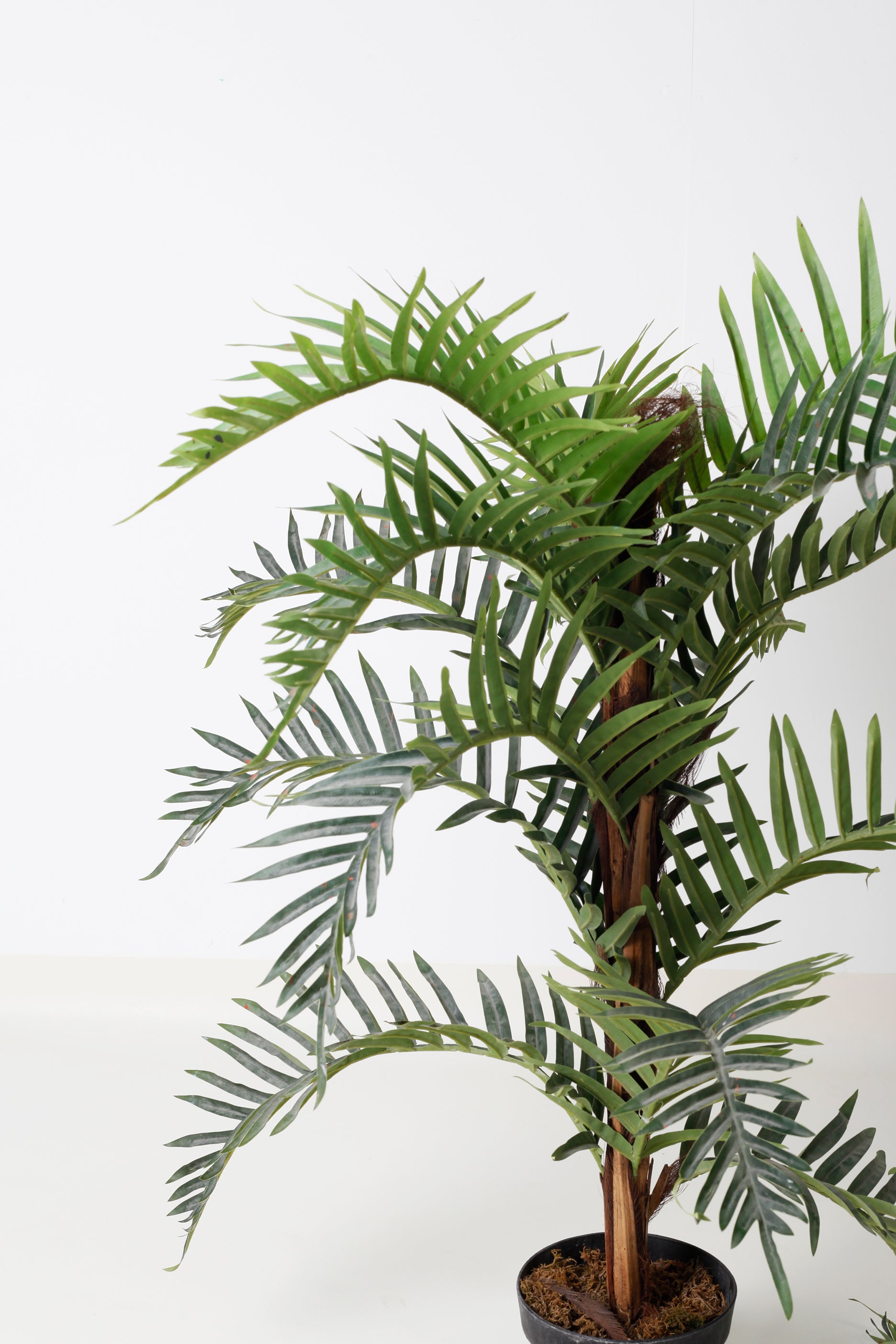 Medium Faux Palm Plant