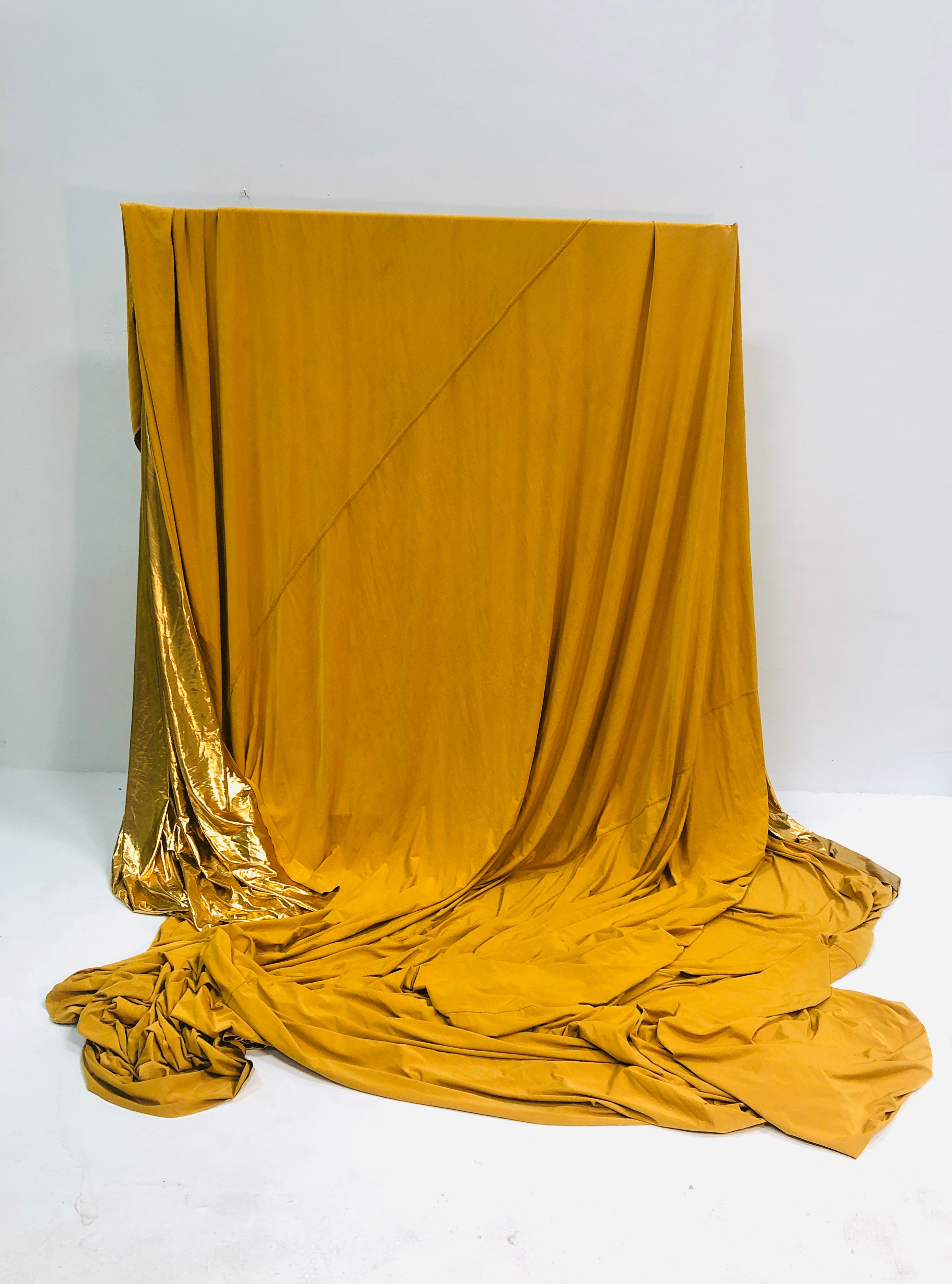 Gold Backdrop (660x440cm)